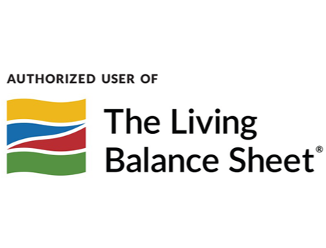 The Living Balance Sheet