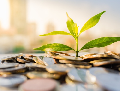 Tax Loss Harvesting
