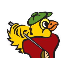Birdies 4 Charities