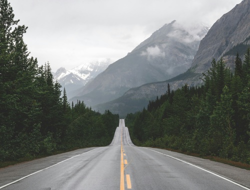 Our Process, One Living Roadmap: