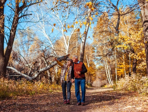 Walk Your Path With a <strong>Trusted Partner</strong>