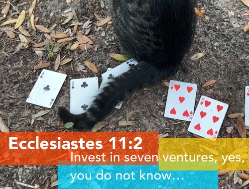 Avoid Investment CATastrophes