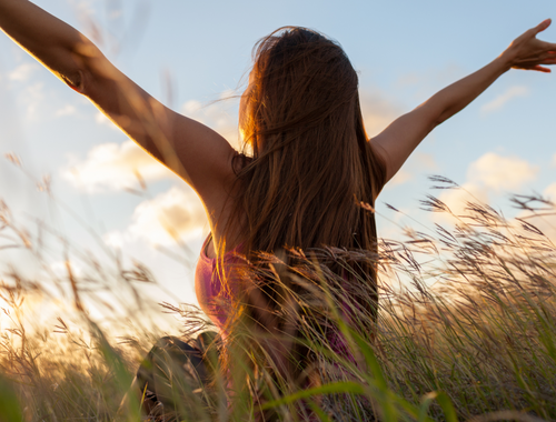 Your Path to Supported Independence