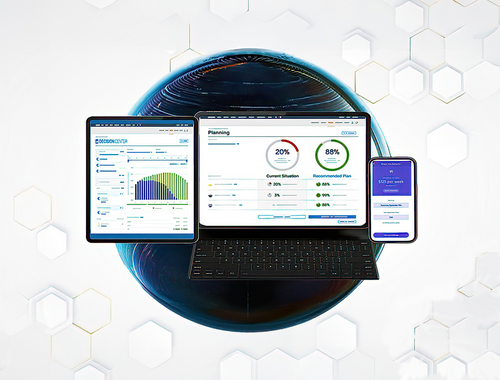 Digital Solutions: Your Personal Financial Website