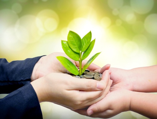 Investment Plan