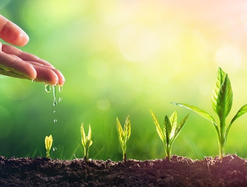 A Better Approach: Lifetime Income Planning
