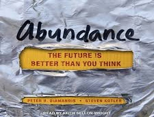 Abundance: The Future Is Better Than You Think: Book Report