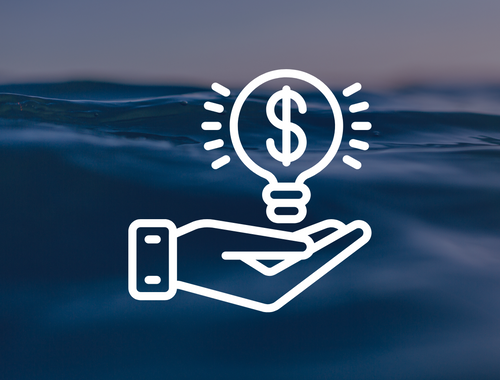 Financial Strategies & Opportunities