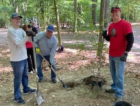 Tree Planting