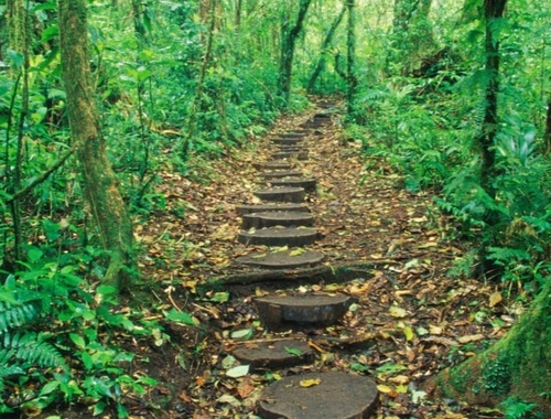 Avoid the noise, Stay on the Path