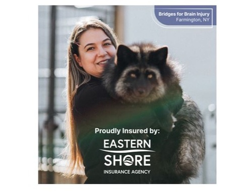 Bridges for Brain Injury