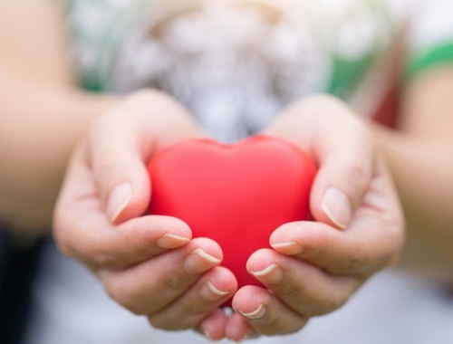 Charitable Giving/ Legacy Planning