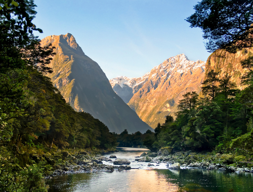 Investment Management