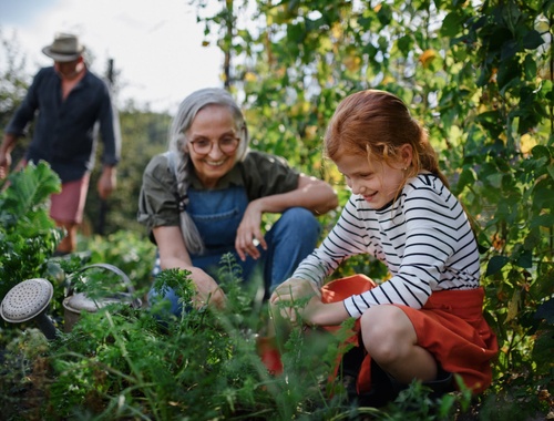 Retirement Strategies