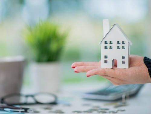 Legacy Management and Estate Strategies