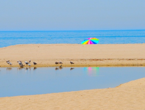 5 Estate Considerations for the LGBTQ+ Community