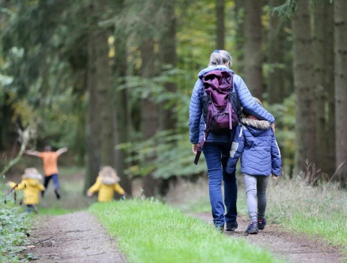 Preparing for Generational Wealth Transfer: Key Steps to Secure Your Legacy