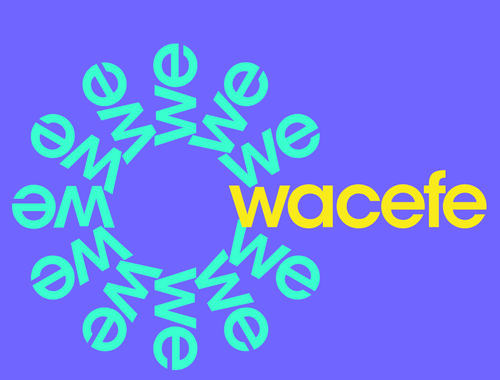 Washington Council for Economic and Financial Education (WACEFE)