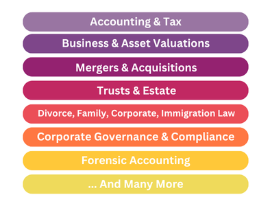Vetting & Practice Areas