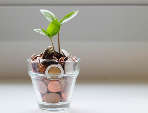 Segment #3: Long-Term Growth