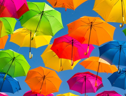          Who Needs Umbrella                           Insurance?