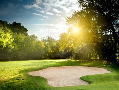 Golf course in summertime