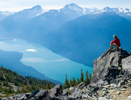 Vista Viewpoints