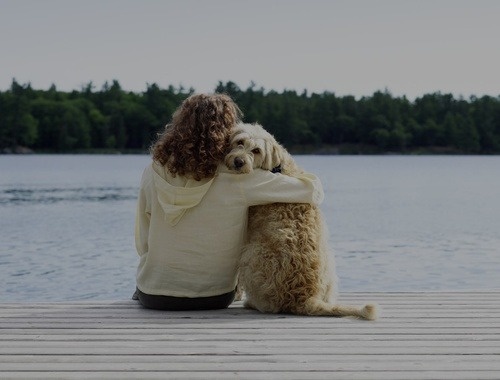 Dog Bites and Homeowners Insurance