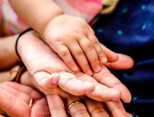 Your Family