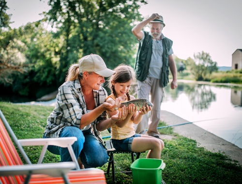 Retirement Strategies
