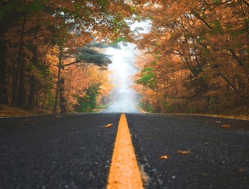             Our Mission: Client Centered