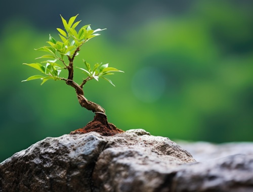 The Power of Patience in Long-Term Investing