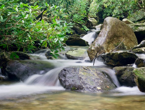 Robust Performance Tracking