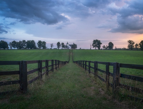 Lexington