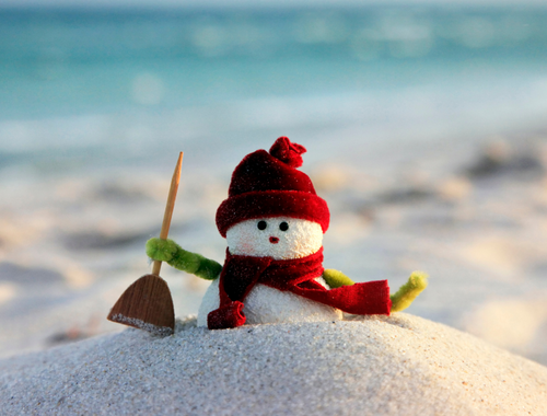 Financial Planning for Connecticut Snowbirds: What to Know Before You Fly South