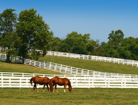 Equine & Agricultural Businesses in PA