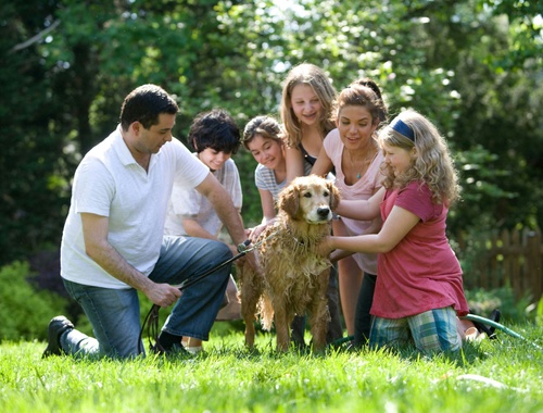 Blended Families