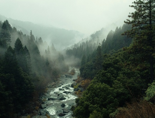 Safe, Secure, & Compliant client Communication