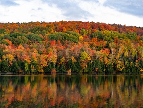 VERMONT