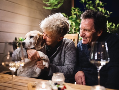 Choosing the Right IRA Strategy