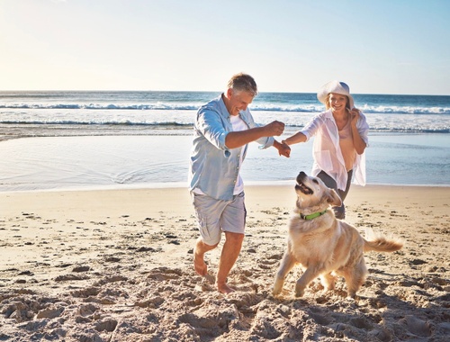 Insurance & Protection