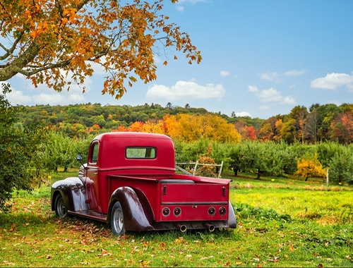 What is farm and ranch insurance?