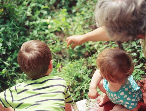 Charitable Planning