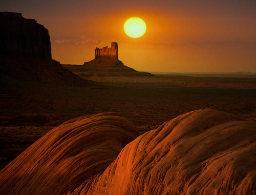 Wealth Management & Investing