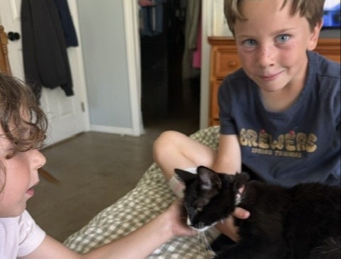 Welcoming the New Kitten