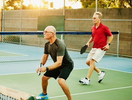 Pickleball Enthusiasts