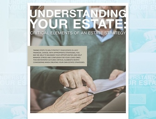 Understanding Your Estate: Critical Elements of an Estate Strategy