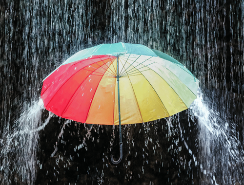 Insurance and Risk Management: Protecting What Matters Most