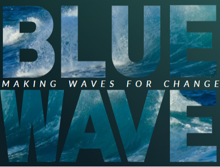 Blue Wave - Our Semi Annual Newsletter