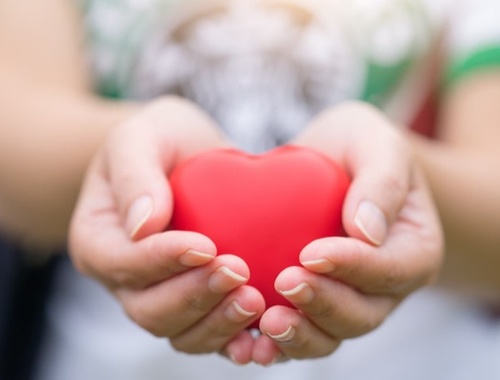 Charitable Giving/ Legacy Planning